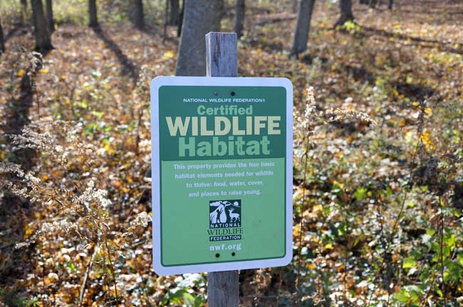 RLC Conservation land behind the headquarters of the Religious Lands Conservancy in Plainville, Mass.